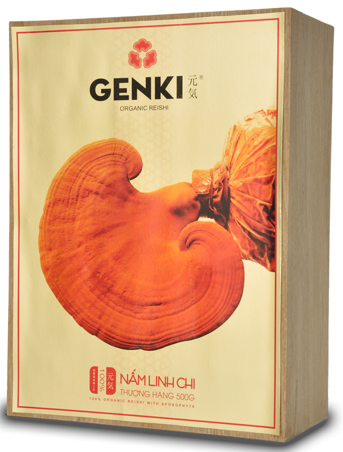 Nấm linh chi thượng hạng 500g