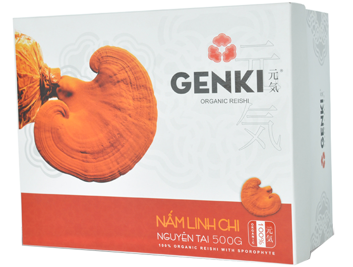 Nấm linh chi nguyên tai cao cấp 300g