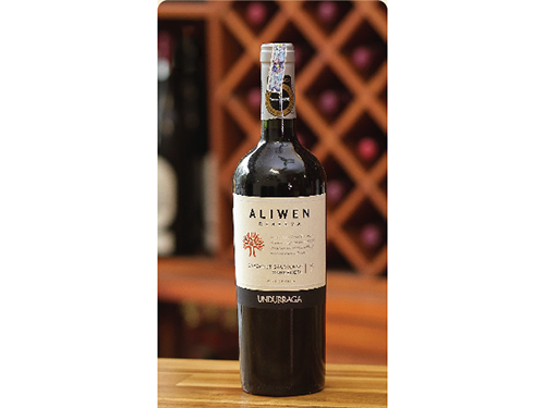 Vang chile Aliwen