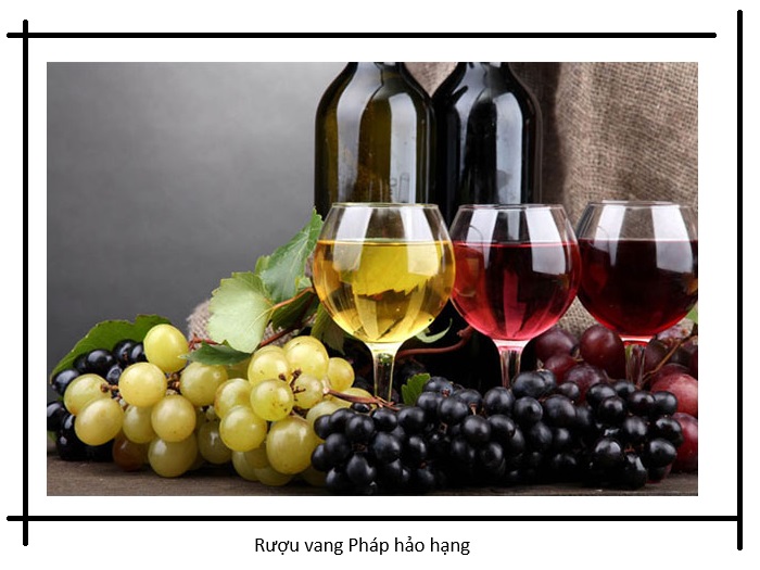 rượu vang cao cấp được làm từ những loại nho được quy định nguồn gốc